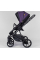 Дитяча коляска 2 в 1 Expander MODO M-71206, колір Plum, водовідштовхувальна тканина