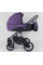 Дитяча коляска 2 в 1 Expander MODO M-71206, колір Plum, водовідштовхувальна тканина