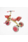 Велосипед 3-х колісний BS-41363 "Best Trike" колеса EVA переднє 10’’, заднє 8’’, сталева рама, УКР.ОЗВУЧУВАННЯ, світло, кошик