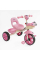 Велосипед 3-х колесный BS-60725 «Best Trike» колеса EVA переднее 10'', заднее 8'', стальная рама, УКР. ОЗВУЧЕНИЕ, корзина