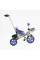 Велосипед 3-х колесный BS-70362 «Best Trike» колеса EVA переднее 10'', заднее 8'', стальная рама, УКР. ОБУЧЕНИЕ, родительская ручка