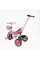 Велосипед 3-х колісний BS-70225 "Best Trike" колеса EVA переднє 10’’, заднє 8’’, сталева рама, УКР. ОЗВУЧУВАННЯ, батьківська ручка