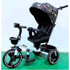 Велосипед 3-х колісний 9155 / 319-22 BestTrike "Marco" поворотне сидіння, складне кермо, колеса з прогумованим PU, кошик, телескопічна ручка, фара музична